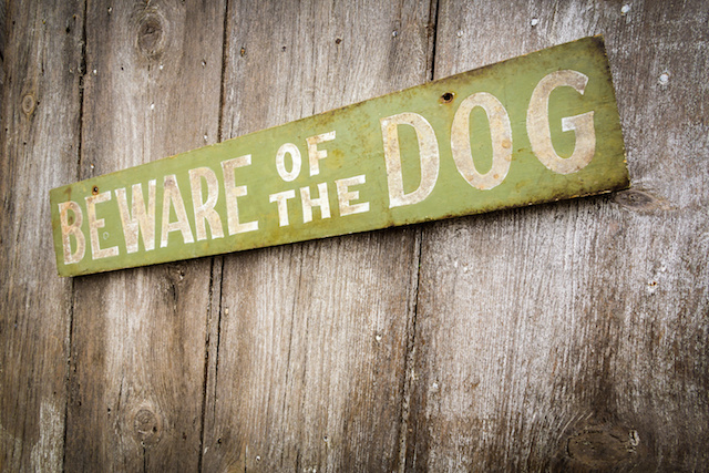 Is an HOA Liable for a Dog Bite in a Common Area?